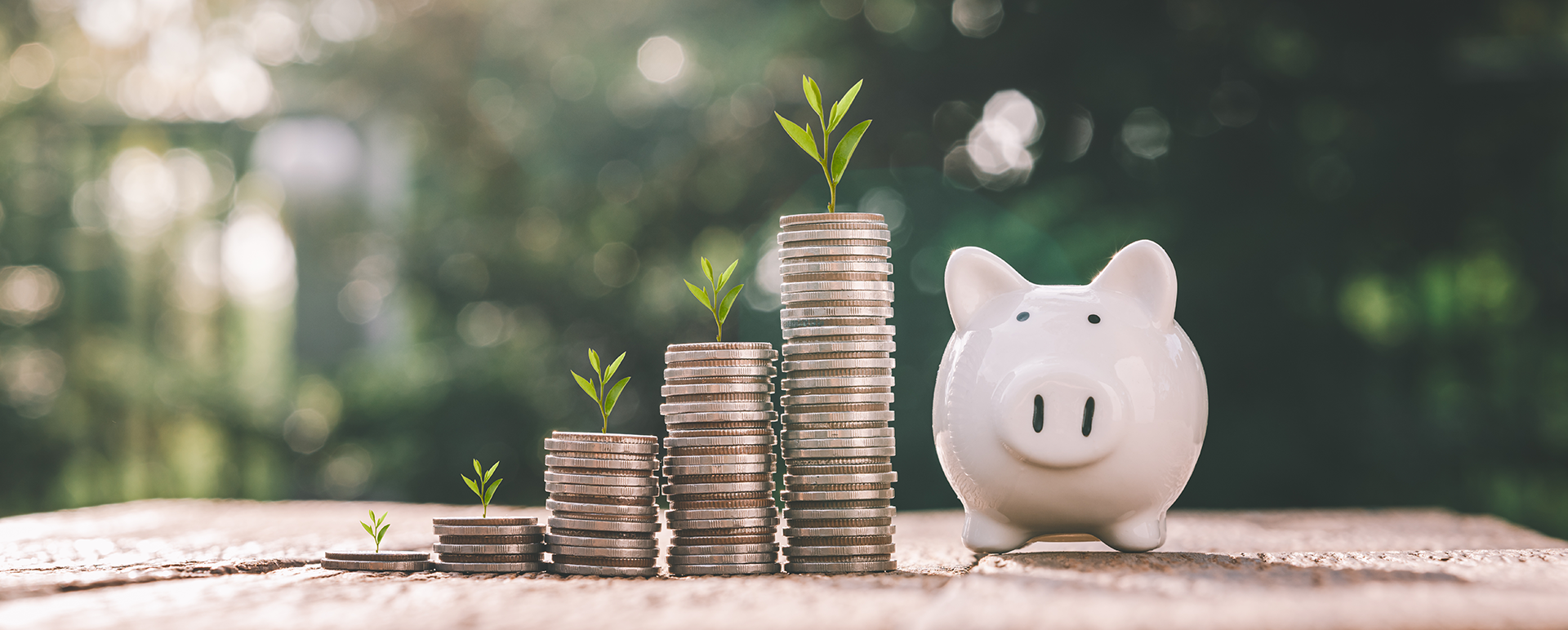 coins with plants growing out of them next to a piggy bank